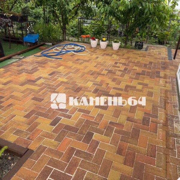 Bruschatka64 2026 (44)